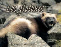 Los Glotones/Wolverines (Animales Carroneros/Animal Scavengers) (Spanish Edition)