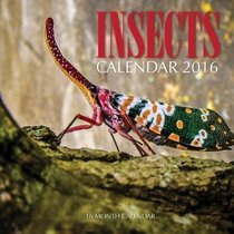 Insects Calendar 2016: 16 Month Calendar