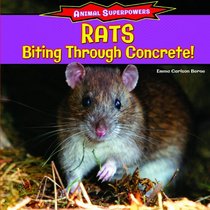 Rats: Biting Through Concrete! (Animal Superpowers)