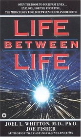 Life Between Life: Scientific Explorations into the Void Separating One Incarnation from the Next