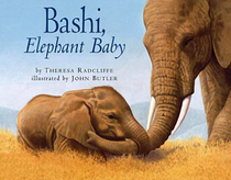Bashi, Elephant Baby