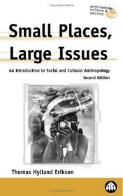 Small Places, Large Issues - Second Edition : An Introduction to Social and Cultural Anthropology (Anthropology, Culture and Society)