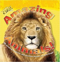 Amazing Animals (Wildlife!)