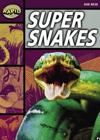 Super Snakes: Stage 1 set A