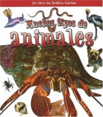 Muchos Tipos De Animales / Many Kinds of Animals (Que Tipo De Animal Es? / What Kind of Animal Is It?) (Spanish Edition)