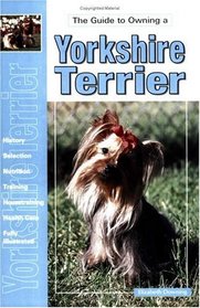 Guide to Owning a Yorkshire Terrier