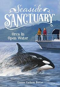 Orca in Open Water (Seaside Sanctuary)