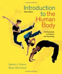 Introduction to the Human Body