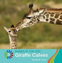 Giraffe Calves (Babies at the Zoo)