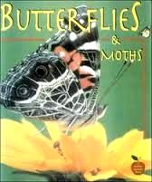 Butterflies And Moths (Crabapples)