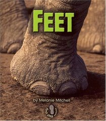 Feet (First Step Nonfiction)
