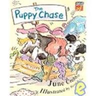 The Puppy Chase (Cambridge Reading)