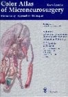 Color Atlas of Microneurosurgery: Microanatomy, Approaches and Techniques Vol 3 (Color Atlas of Microneurosurgery)