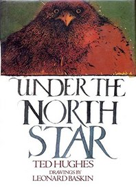 Under the North Star (Studio Book)