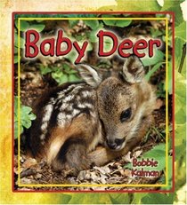 Baby Deer (It's Fun to Learn About Baby Animals)