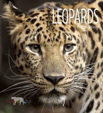 Leopards (Living Wild)
