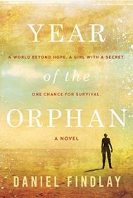 Year of the Orphan: A Novel