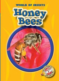 Honey Bees (Blastoff! Readers: World of Insects)