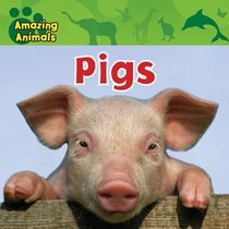 Pigs (Amazing Animals)