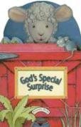 God's Special Surprise (Peekaboo Books)