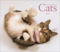 Cats, For the Love of 2008 Deluxe Wall Calendar (Multilingual Edition)