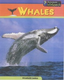 Whales (Sea Creatures)