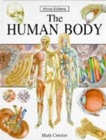 Human Body (Explorer)