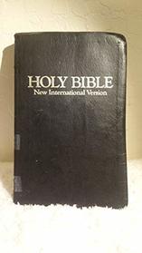 The Holy Bible New International Version - Dictionary-Concordance-Helps