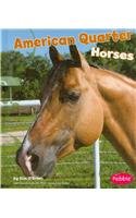 American Quarter Horses (Pebble Books)