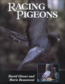 Racing Pigeons