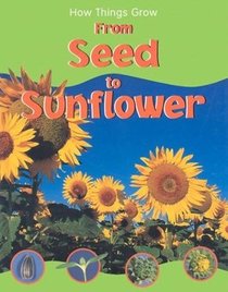 How Things Grow From Seed to Sunflower