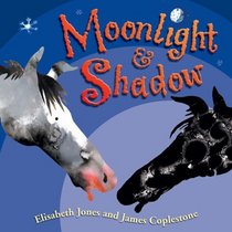 Moonlight and Shadow