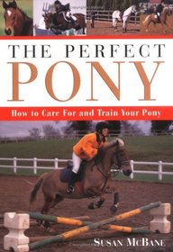 Perfect Pony: How to Care for and Train Your Pony