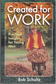 Created for Work: Practical Insights for Young Men