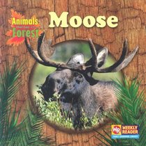 Moose (Animals That Live in the Forest)