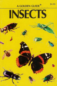 Guide to Insects