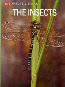 Life Nature Library- The Insects