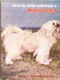 How to Raise and Train a Lhasa Apso