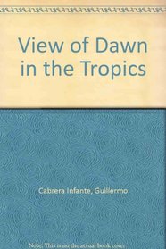 View of Dawn in the Tropics