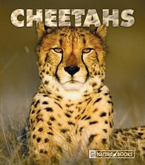 Cheetahs (New Naturebooks)