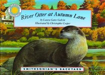River Otter at Autumn Lane - a Smithsonian's Backyard Book (with easy-to-download audiobook)