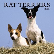Rat Terriers 2005 Wall Calendar