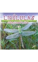 Libelulas: Dragonflies (Biblioteca Del Descubrimiento De Los Insectos/Insects Discovery Library) (Spanish Edition)