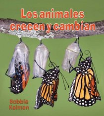 Los animales crecen y cambian/ Animals Grow and Change (Introduccion a Los Seres Vivos/ Introducing Living Things) (Spanish Edition)