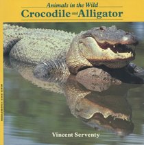 Crocodile and Alligator (Animals in the Wild)