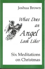 What Does an Angel Look Like? Six Meditations for Christmas