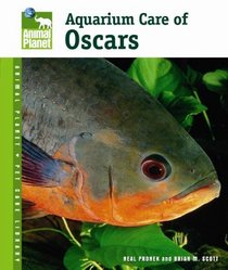 Aquarium Care of Oscars (Animal Planet Pet Care Library)