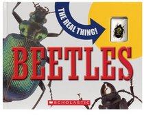Beetles: The Real Thing