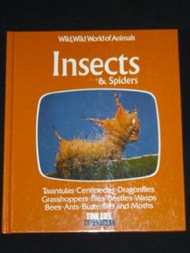Insects and Spiders (Wild, wild world of animals)