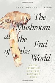 The Mushroom at the End of the World: On the Possibility of Life in Capitalist Ruins